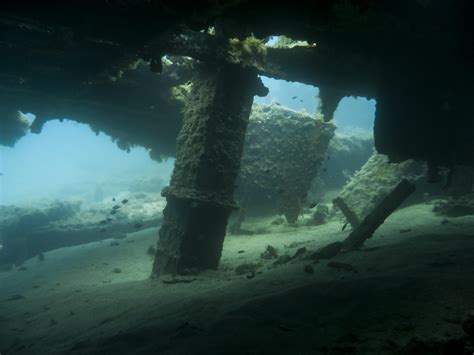 hms maori wreck dive.